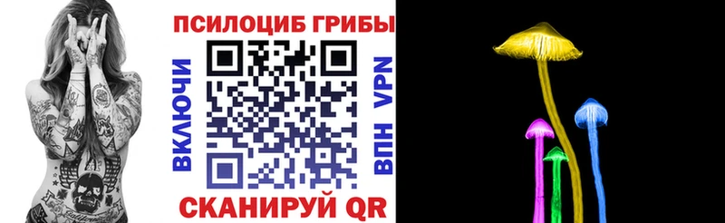 Купить  Сосенский  Галлюциногенные грибы GOLDEN TEACHER 